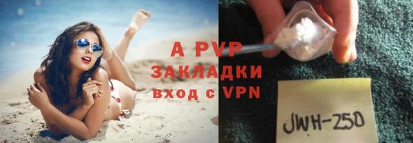 apvp Богданович